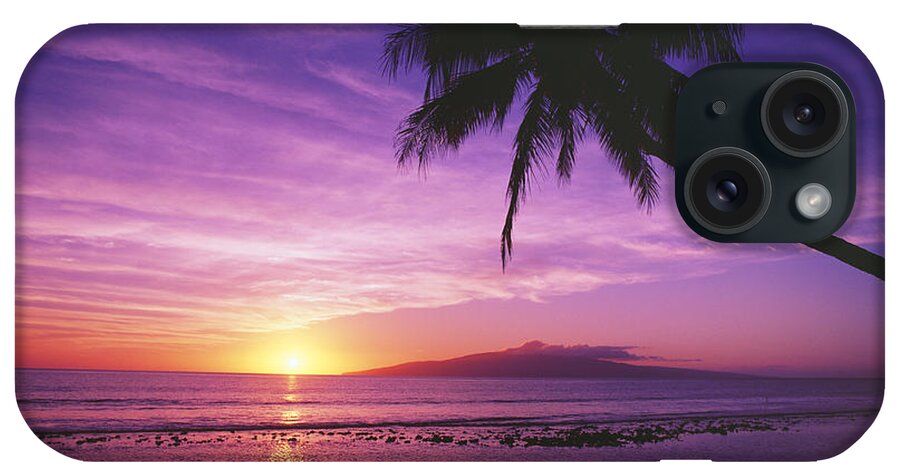 Beach iPhone Case featuring the photograph Purple Sunset and Palm by Ron Dahlquist - Printscapes