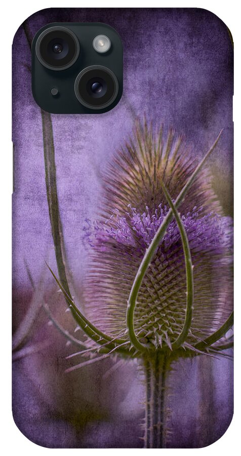 Clare Bambers iPhone Case featuring the photograph Purple Teasel by Clare Bambers
