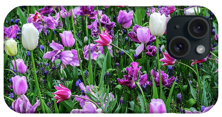 Jenny Rainbow Fine Art Photography iPhone Case featuring the photograph Purple Tulips in Keukenhof by Jenny Rainbow