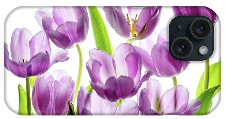 Tulips iPhone Case featuring the photograph Purple Tulips by Rebecca Cozart