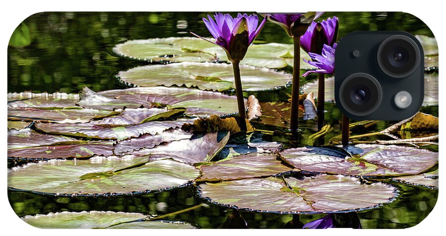 Categories iPhone Case featuring the photograph Purple Water Lilies by Dawn Key