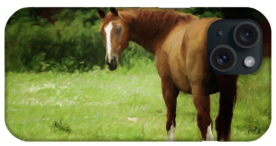 Landscape iPhone Case featuring the painting Quarter Horse by Eva Sawyer