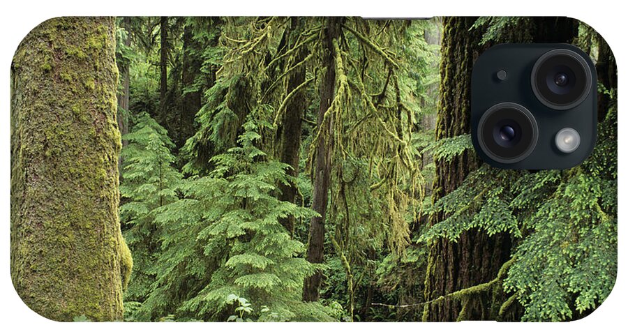 Beautiful iPhone Case featuring the photograph Quinault Rainforest by Greg Vaughn - Printscapes