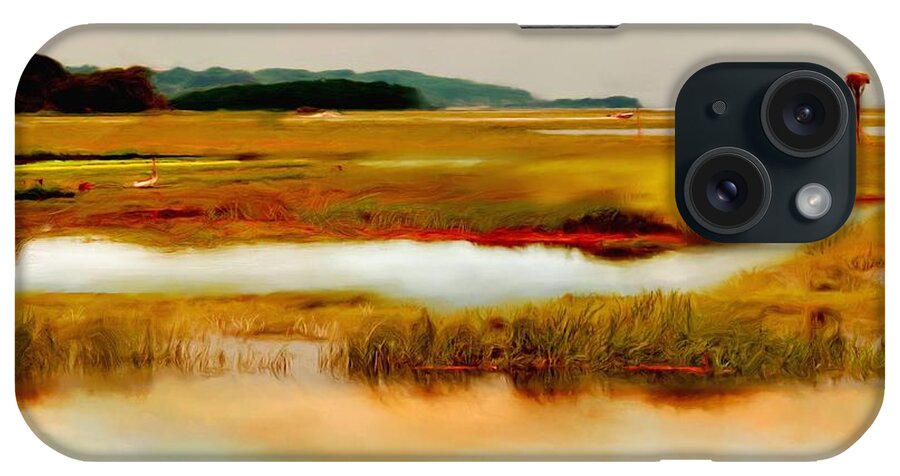 Essex River iPhone Case featuring the painting Racing the Tide by Sand And Chi