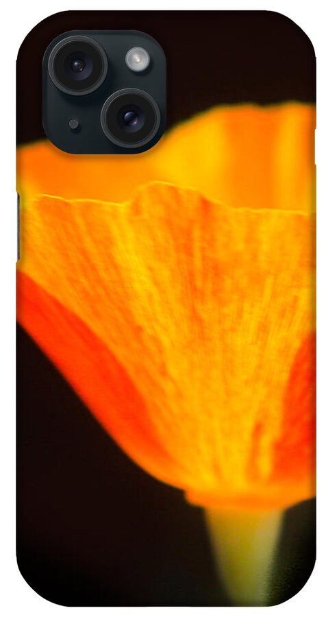 Flowers iPhone Case featuring the photograph Radiance by Susan Eileen Evans