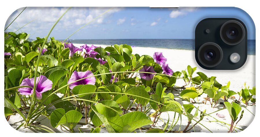 Beach iPhone Case featuring the photograph RailRoad Vine by Sean Allen