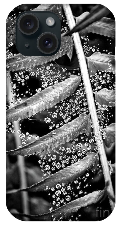 Black And White iPhone Case featuring the photograph Rain droplets in a spider web and fern plant by Bruce Block