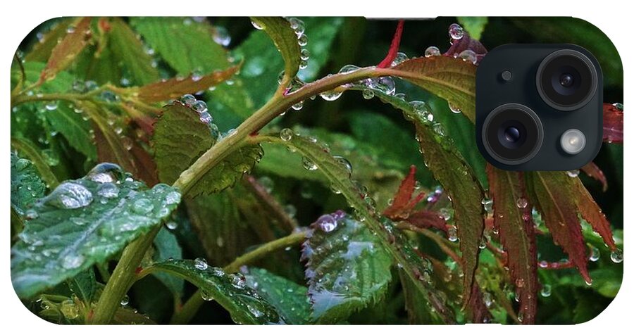 Geranium iPhone Case featuring the photograph Rain Drops on Spirea by J L Zarek