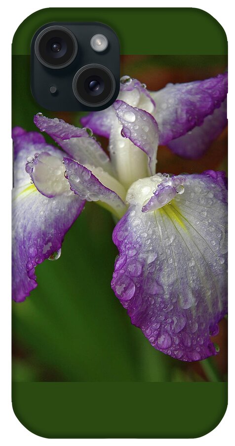 Iris iPhone Case featuring the photograph Rain-soaked Iris by Marie Hicks