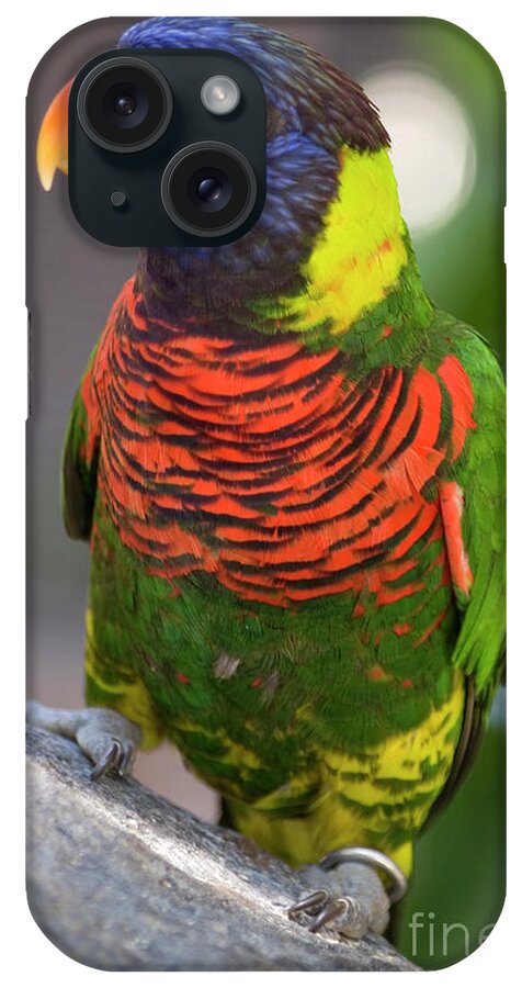 Rainbow iPhone Case featuring the photograph Rainbow Lorikeet by Jim And Emily Bush