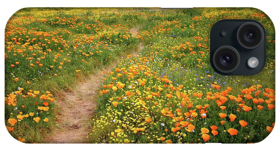 Wildflower iPhone Case featuring the photograph Rainbow of wildflowers bloom near Diamond Lake in California by Jetson Nguyen