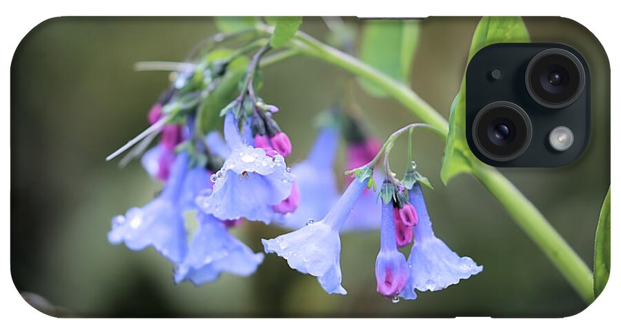 Blue Bells iPhone Case featuring the photograph Raindrops On Blue Bells by Theresa Campbell