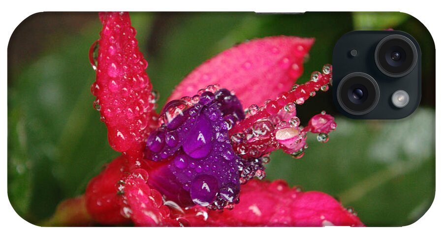 Flowers iPhone Case featuring the photograph Rainy Day Fuschia by Adrian Wale