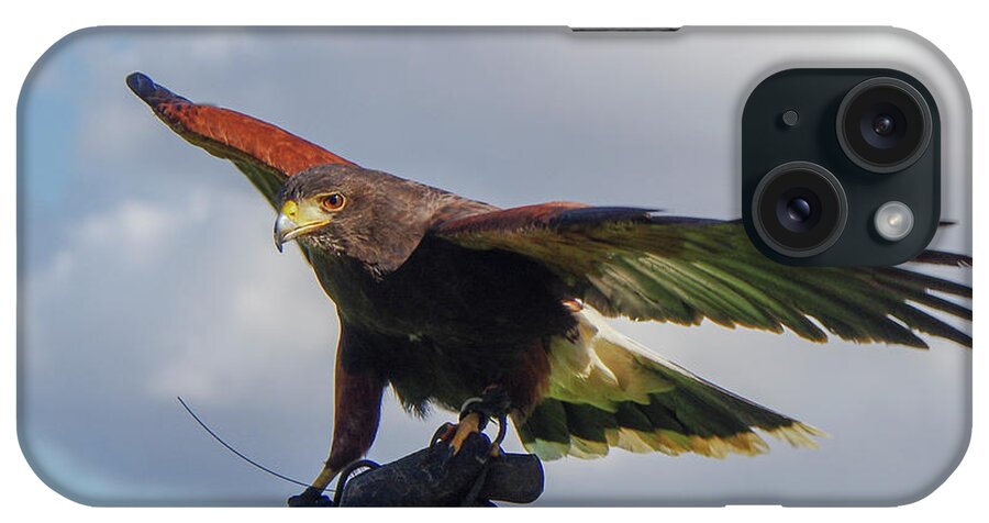 Ramona iPhone Case featuring the photograph Ramona Hawk Watch 3 by Phyllis Spoor