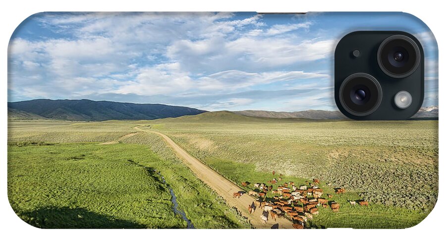 Colorado iPhone Case featuring the photograph Ranch Road And Cattle by Marek Uliasz