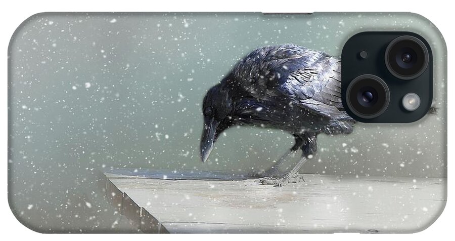Common Raven iPhone Case featuring the photograph Raven in Winter by Eva Lechner