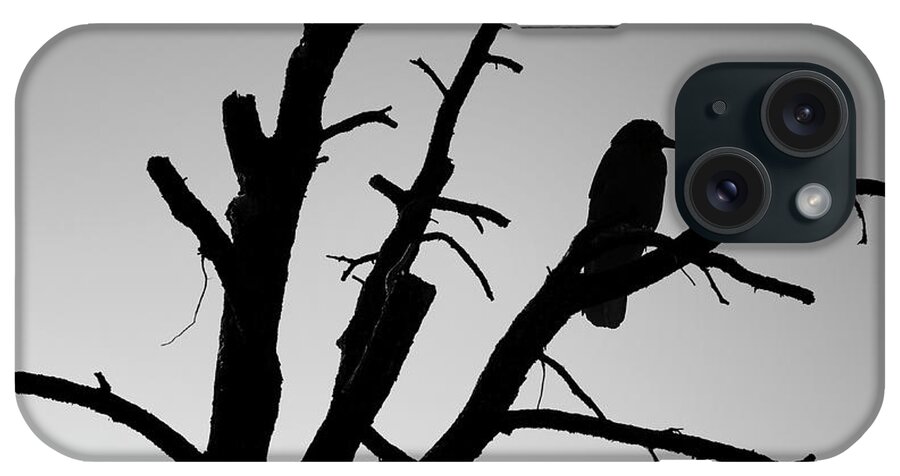 Tree iPhone Case featuring the photograph Raven Tree II BW by David Gordon