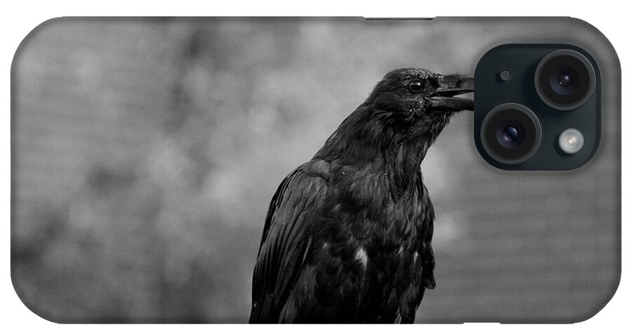Bird iPhone Case featuring the photograph Raven by Trent Mallett