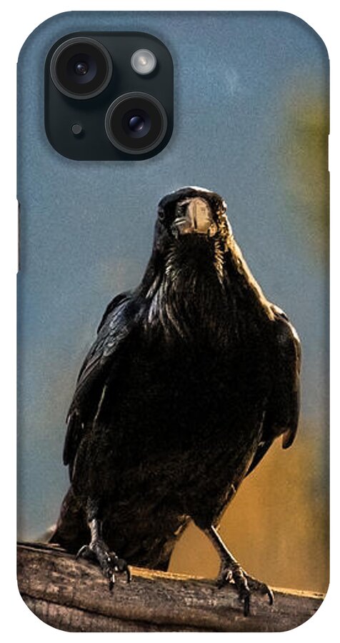 Raven iPhone Case featuring the photograph Raven's Breath by Lisa Manifold