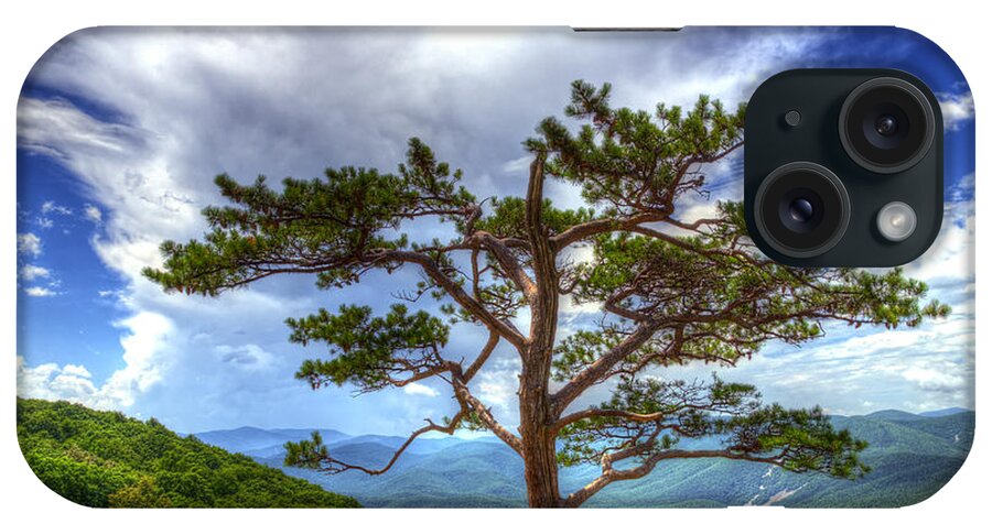 Ravens Roost iPhone Case featuring the photograph Ravens Roost Tree by Greg Reed