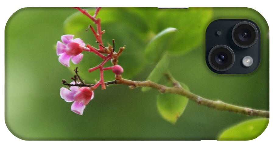 Botanical iPhone Case featuring the photograph Reach...... by Lynn England