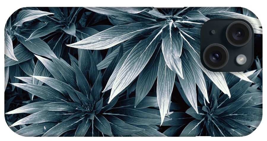 Leaves iPhone Case featuring the photograph Reaching Out by Wayne Sherriff