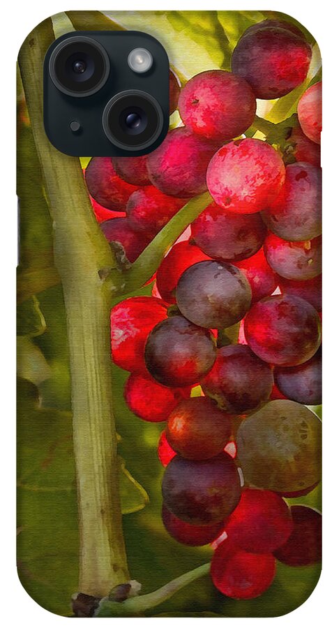 Grape iPhone Case featuring the photograph Ready for Harvest by Sharon Foster