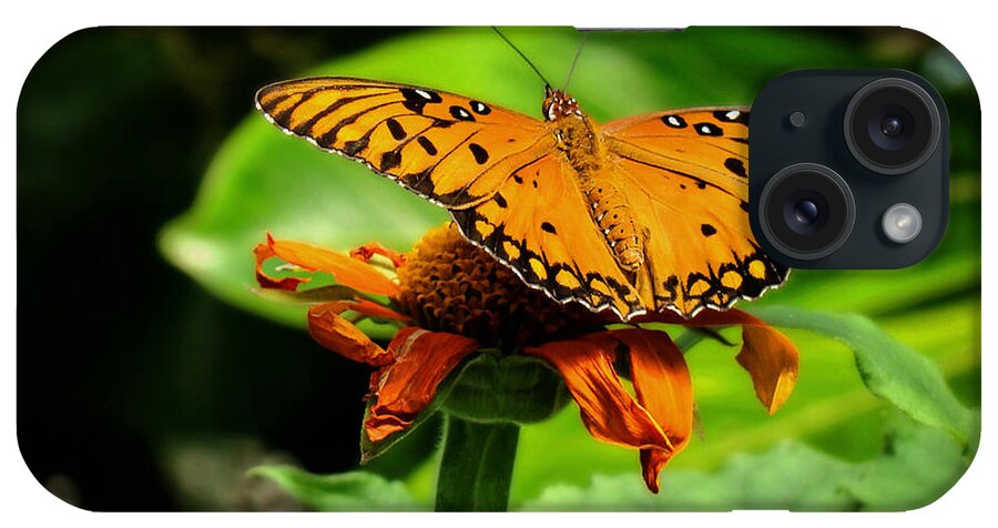 Butterfly iPhone Case featuring the photograph Ready For Liftoff by Sue Melvin