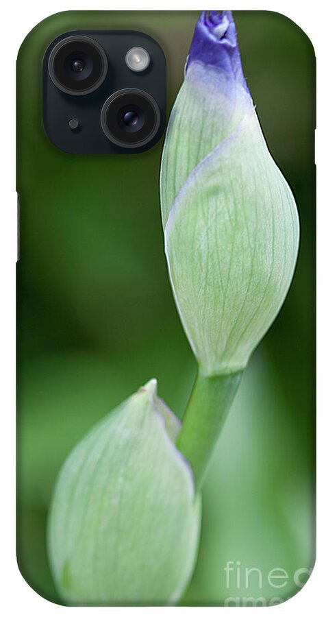 Iris iPhone Case featuring the photograph Ready to Bloom by Sherry Hallemeier