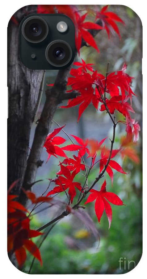 Leaves iPhone Case featuring the photograph Red Accents by Yumi Johnson