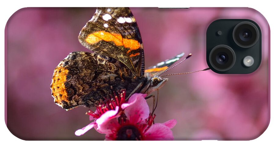Nature iPhone Case featuring the photograph Red Admiral Butterfly by Brian Tada