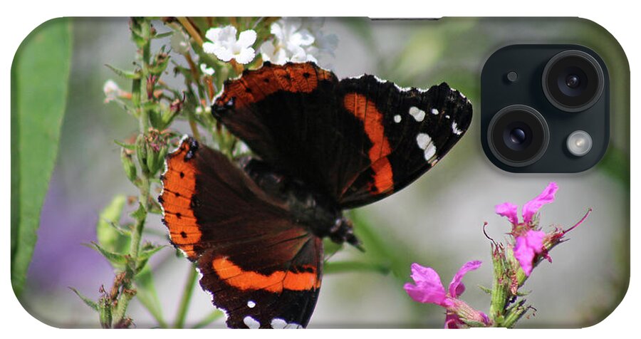 Butterfly iPhone Case featuring the photograph Red Admiral Butterfly Dorsal View by Karen Adams