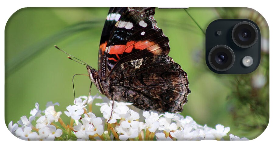 Butterfly iPhone Case featuring the photograph Red Admiral Butterfly Ventral View by Karen Adams