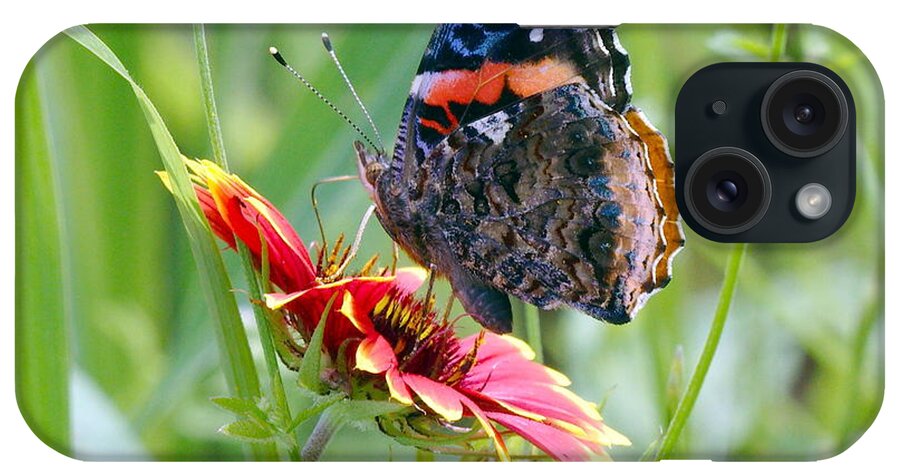 Butterfly iPhone Case featuring the photograph Red Admiral by James Smullins
