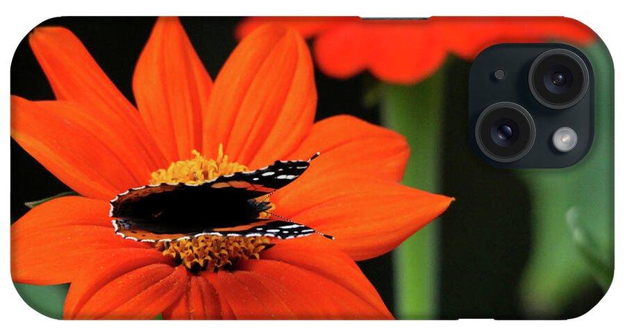 Butterfly iPhone Case featuring the photograph Red Admiral Nectaring On Tithonia by Debbie Oppermann