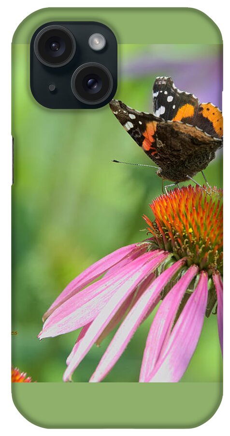 Butterfly iPhone Case featuring the photograph Red Admiral on Cone Flower by Kae Cheatham