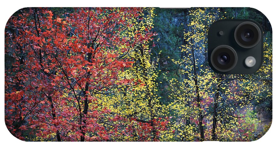 Landscape iPhone Case featuring the photograph Red and Yellow Leaves Abstract Horizontal Number 1 by Heather Kirk