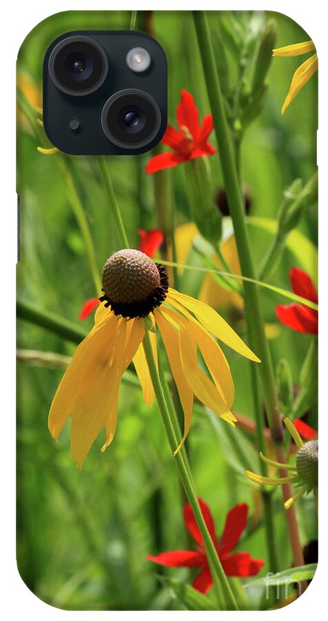 Yellow Coneflowers iPhone Case featuring the photograph Red and Yellow by Paula Guttilla
