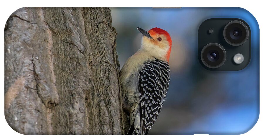 Bird Photography iPhone Case featuring the photograph Red-bellied Wodpecker 3 by Gary Hall