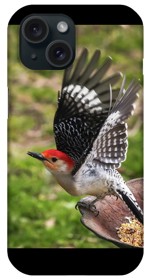 Terry D Photography iPhone Case featuring the photograph Red Bellied Woodpecker Take Off by Terry DeLuco