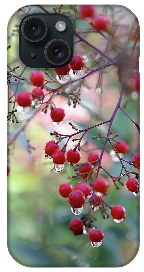 Berries iPhone Case featuring the photograph Red Berries and Raindrops by Vanessa Thomas