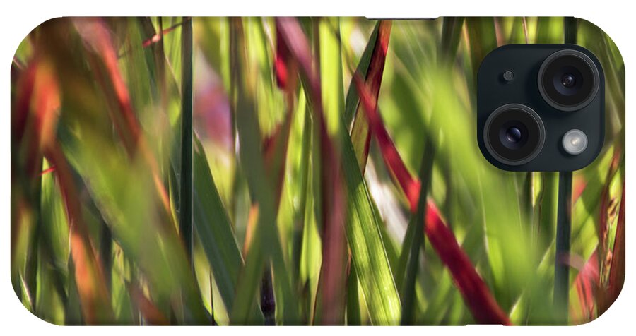 Red Blades iPhone Case featuring the photograph Red Blades Among the Green - by Julie Weber