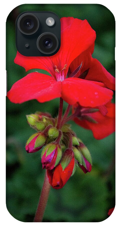 Red iPhone Case featuring the photograph Red Blooms by Lisa Blake