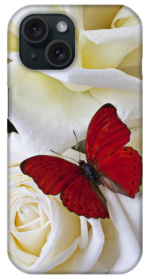 Red iPhone Case featuring the photograph Red butterfly on white roses by Garry Gay