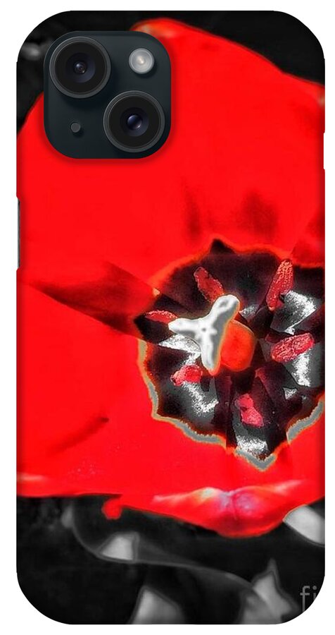 Landscape iPhone Case featuring the photograph Red by Christine Paris
