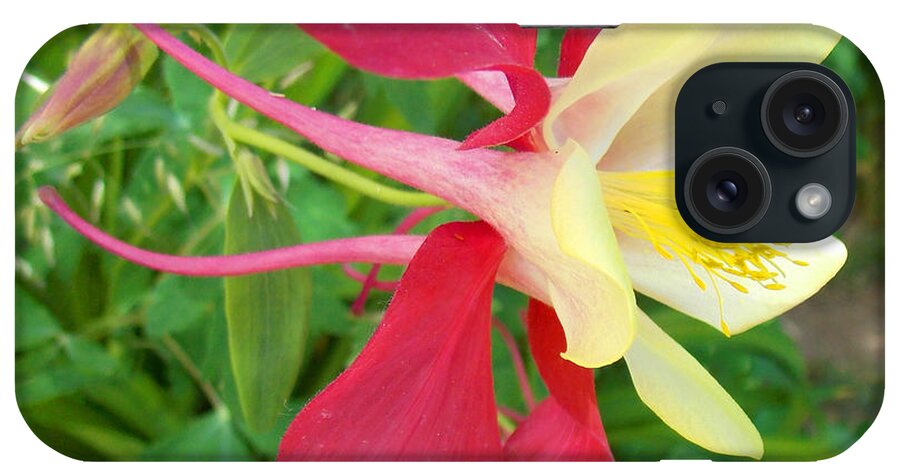 Columbine iPhone Case featuring the photograph Red Columbine Agape Gardens by Anastasia Savage Ealy