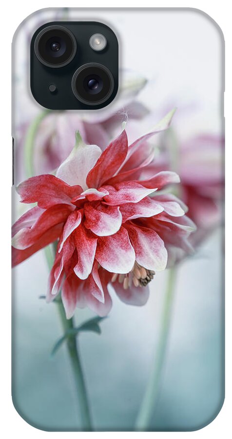 Colorful iPhone Case featuring the photograph Red columbines by Jaroslaw Blaminsky