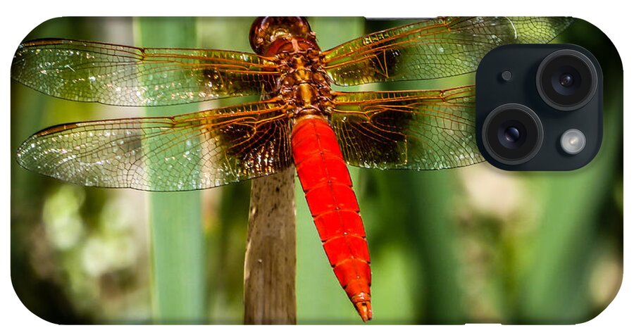Dragonfly iPhone Case featuring the photograph Red Dragonfly by Pamela Newcomb