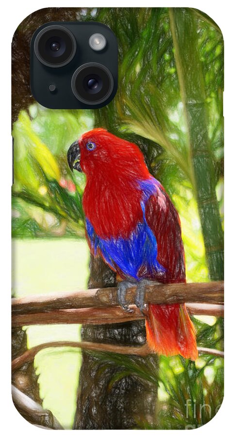 Hawaii iPhone Case featuring the photograph Red Eclectus Parrot by Sue Melvin