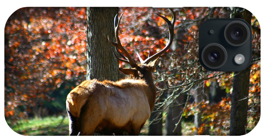 Elk iPhone Case featuring the photograph Red Elk by Anthony Jones